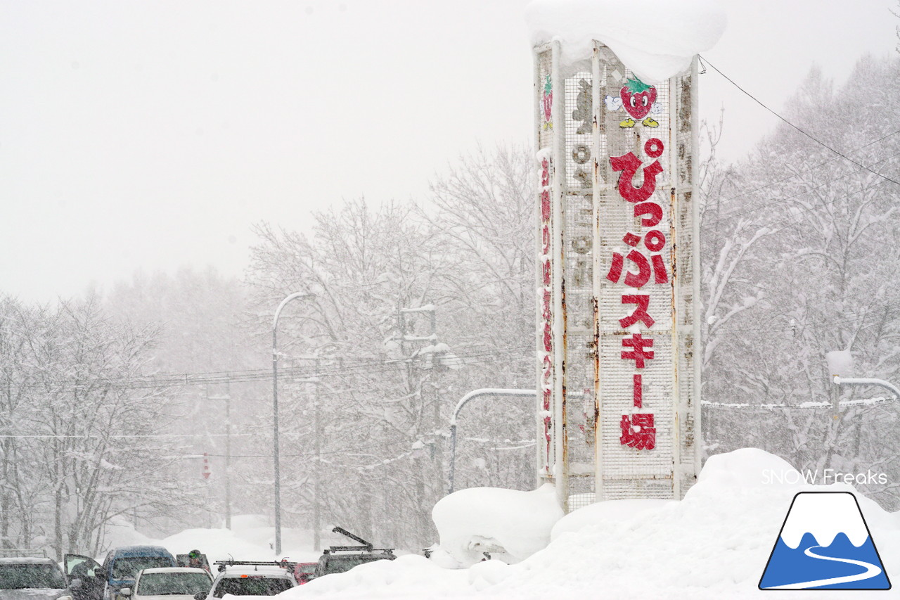 ぴっぷスキー場 パウダースノーが降り積もる多彩なコースと、安くて美味しいゲレンデグルメも魅力的な比布町営スキー場！